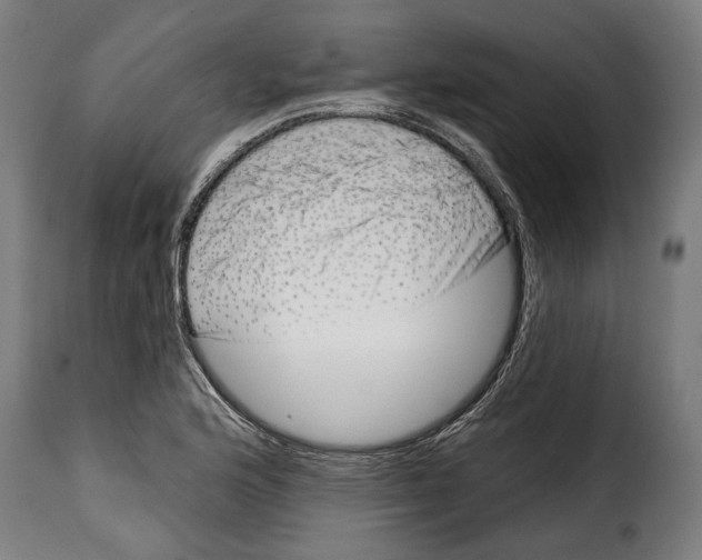 X0000114991176200911231135