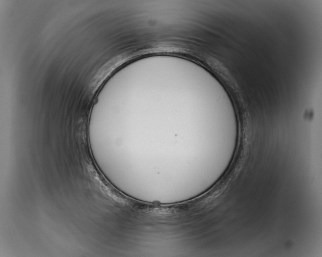 X0000114991177200911231135