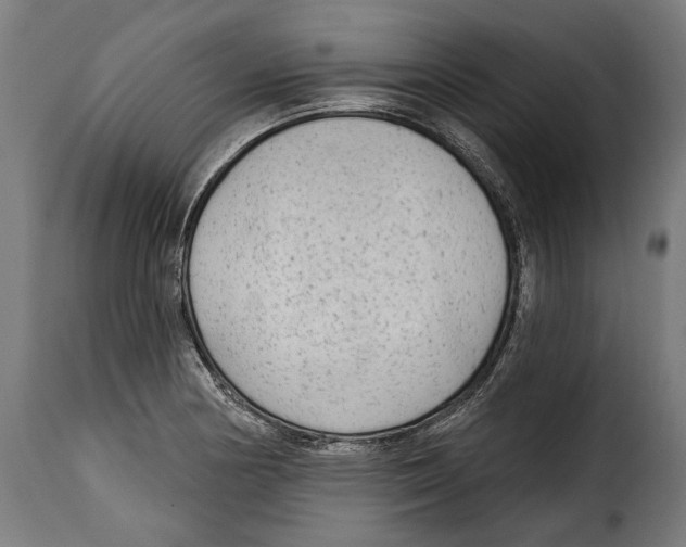 X0000114991178200911231135