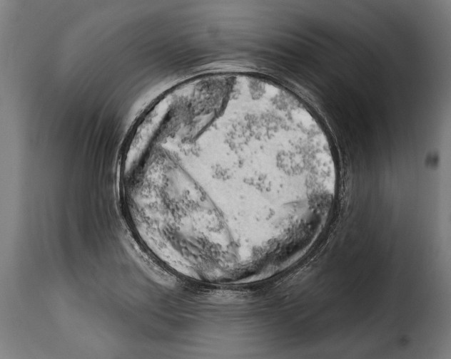 X0000114991179200911231135