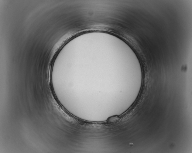 X0000114991180200911231135