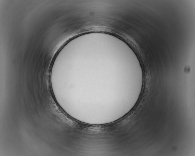 X0000114991182200911231135