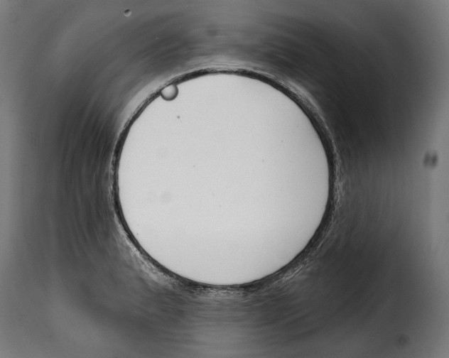 X0000114991183200911231135