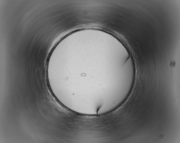 X0000114991184200911231135