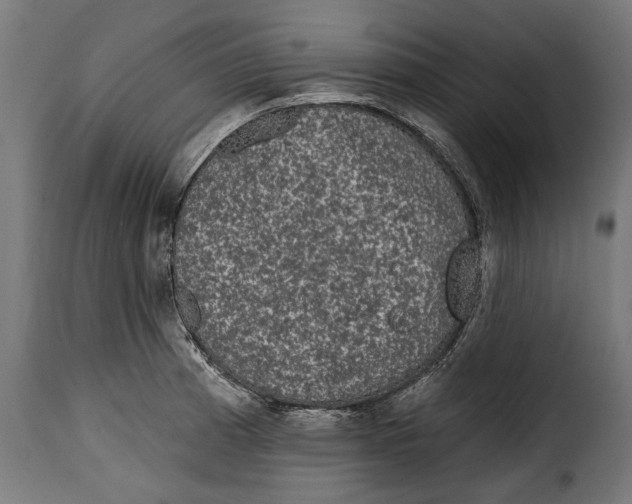 X0000114991185200911231135