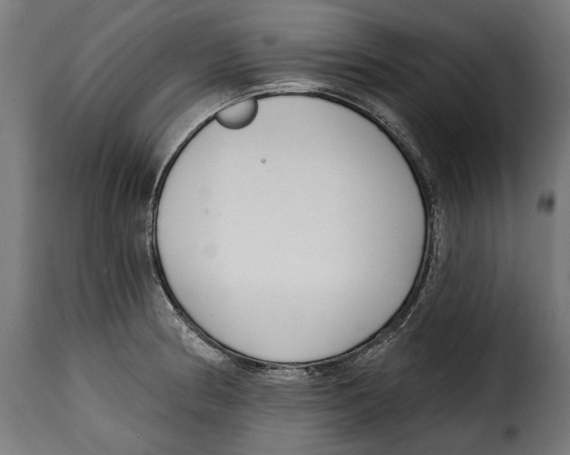 X0000114991186200911231135