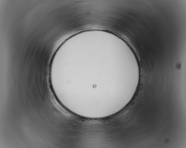 X0000114991187200911231135