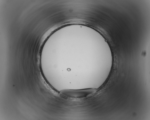 X0000114991188200911231135