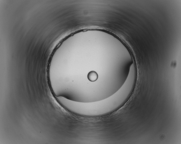 X0000114991189200911231135