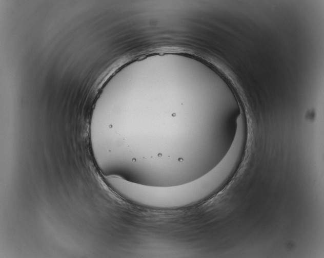 X0000114991193200911231134