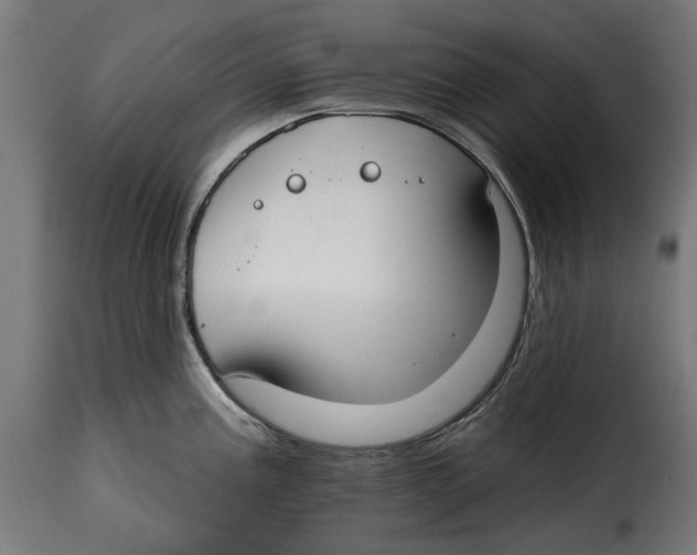 X0000114991195200911231134