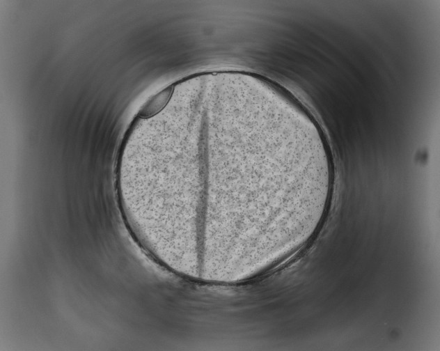 X0000114991197200911231134