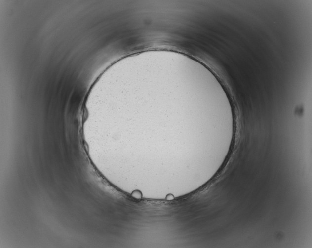 X0000114991198200911231134