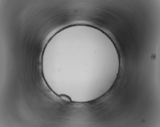 X0000114991199200911231134