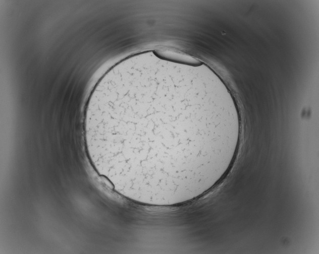 X0000114991200200911231134