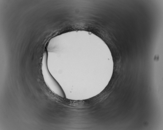 X0000114991201200911231134