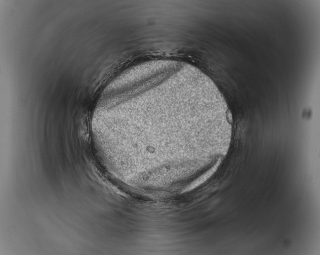 X0000114991202200911231134