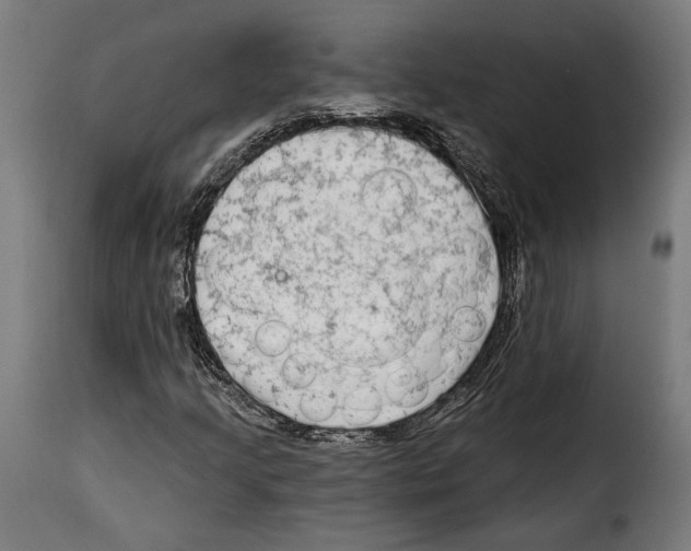 X0000114991205200911231134