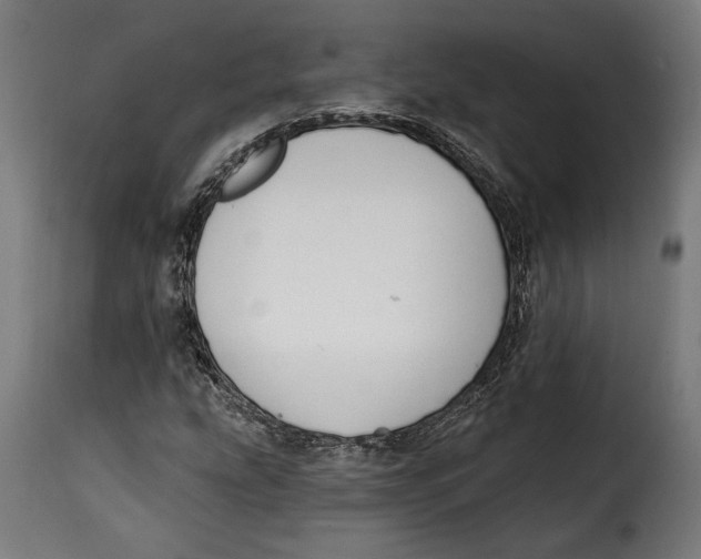 X0000114991207200911231134