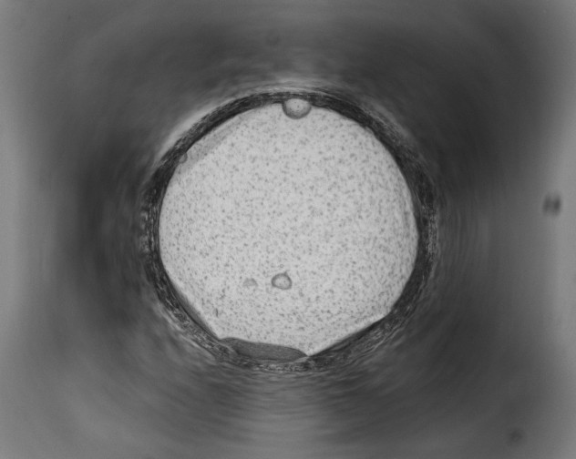 X0000114991208200911231134