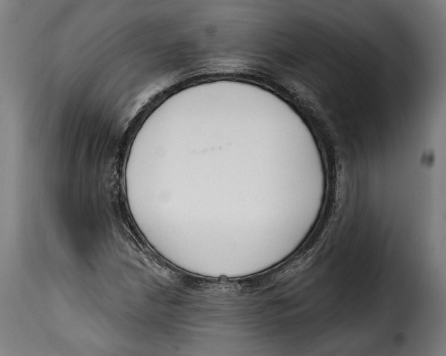 X0000114991210200911231134