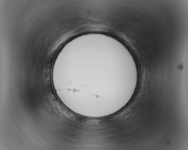 X0000114991211200911231134