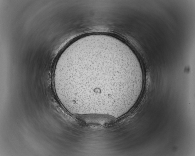 X0000114991212200911231134