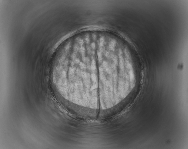 X0000114991213200911231134