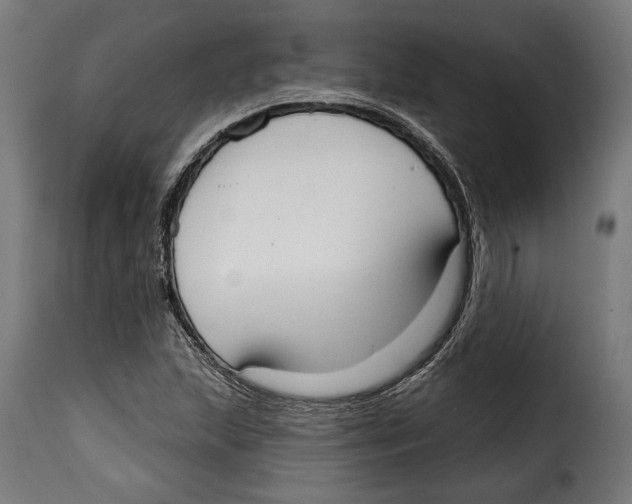 X0000114991215200911231134