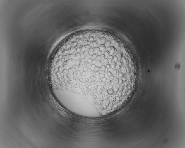 X0000114991216200911231134