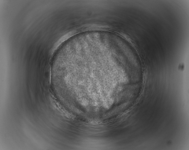 X0000114991219200911231134