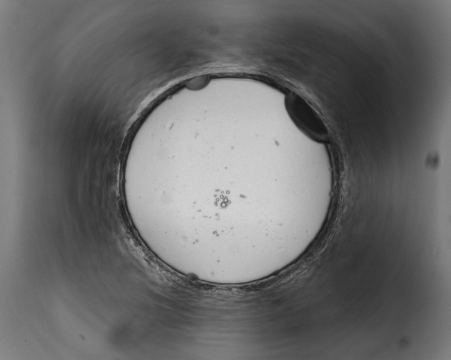 X0000114991220200911231134