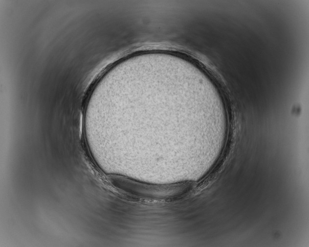 X0000114991221200911231134