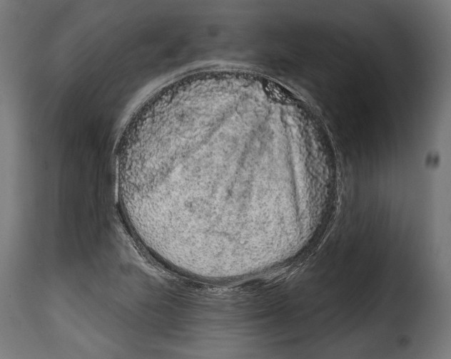 X0000114991223200911231134