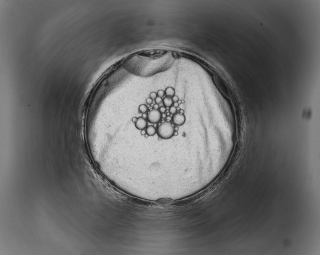 X0000114991224200911231134