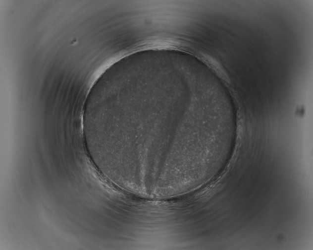 X0000114991226200911231134