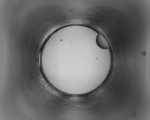 X0000114991227200911231134