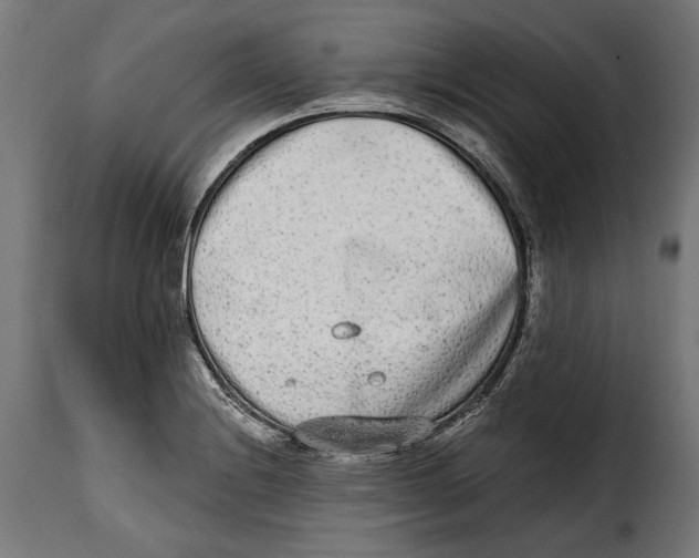 X0000114991228200911231134