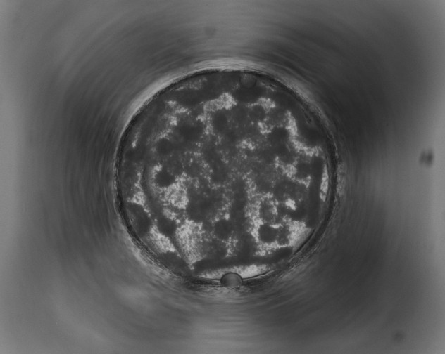 X0000114991229200911231134