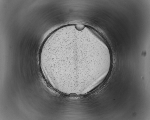 X0000114991230200911231134