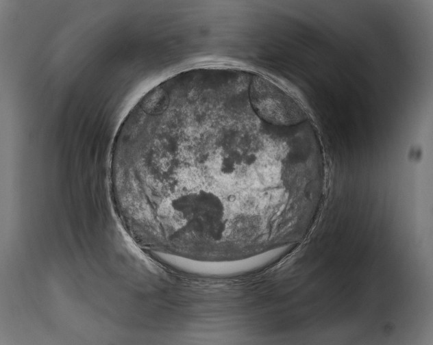 X0000114991231200911231134