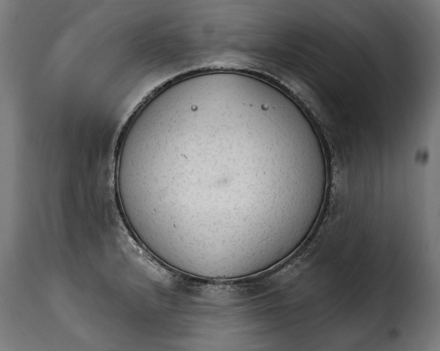 X0000114991232200911231134