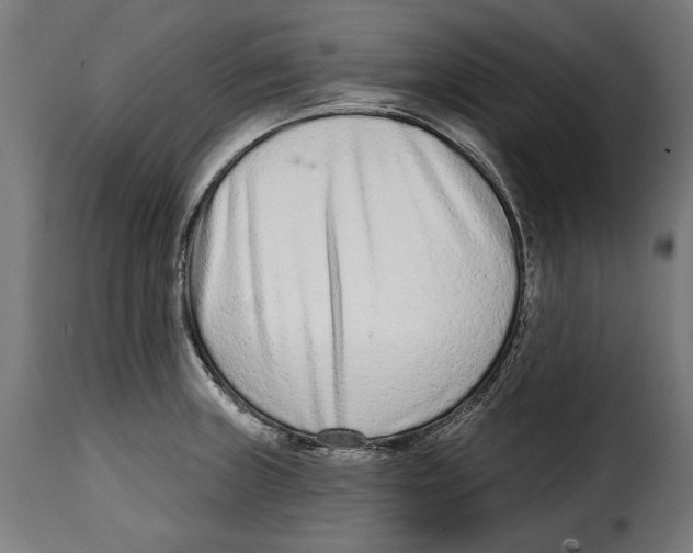 X0000114991235200911231134