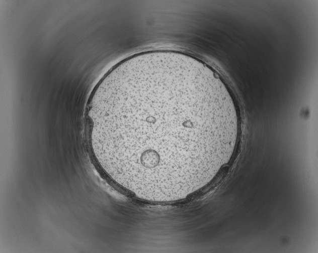 X0000114991236200911231134