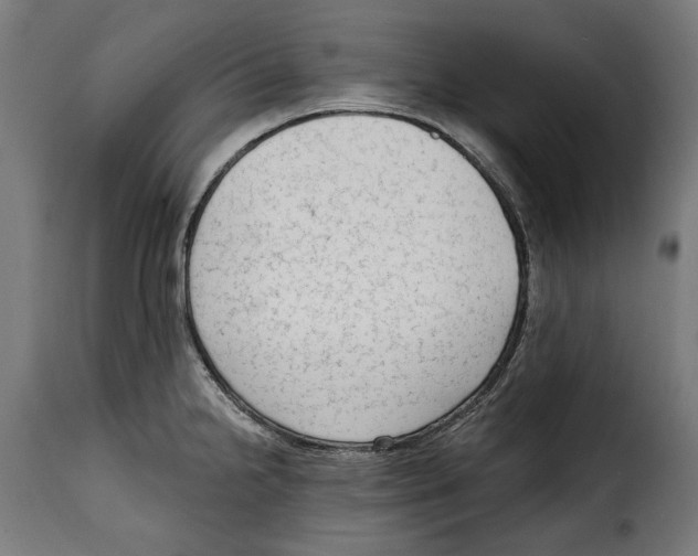 X0000114991238200911231134