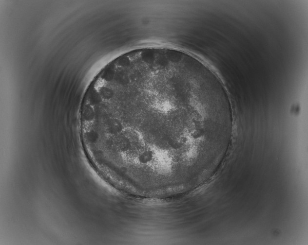 X0000114991239200911231134