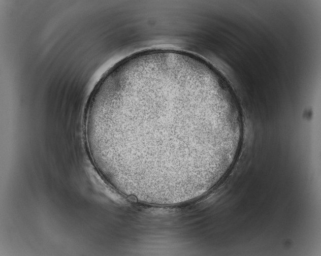 X0000114991240200911231134