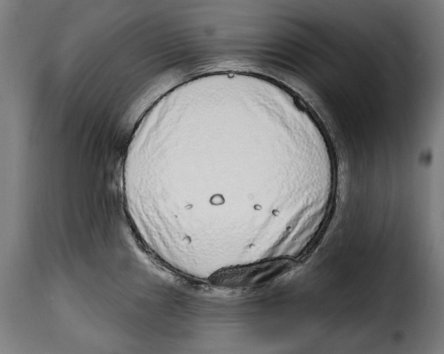 X0000114991241200911231134