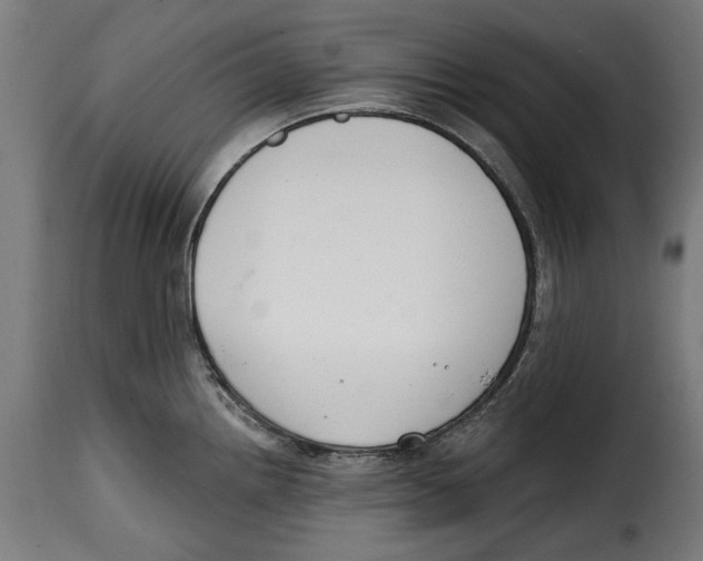 X0000114991242200911231134