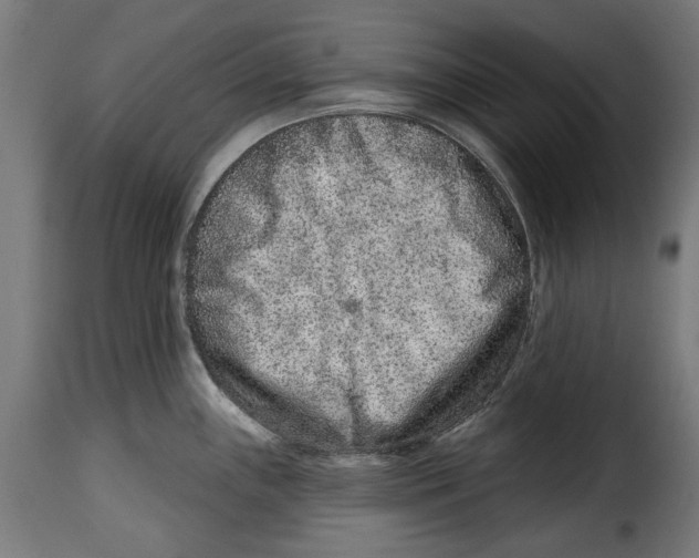 X0000114991243200911231134